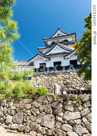 夏の彦根城天守閣 滋賀県彦根市 夏の彦根城天守閣 滋賀県彦根市 105918105