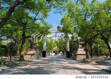 兵庫県神戸市 湊川神社 参道と鳥居 105918126