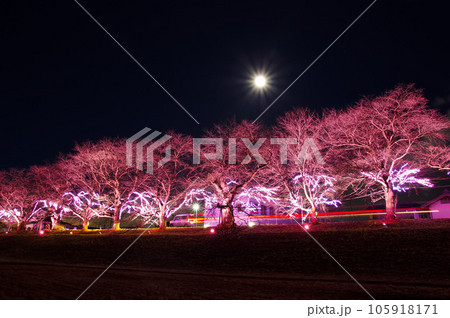 おおがわら桜イルミネーション（宮城県大河原町） 105918171