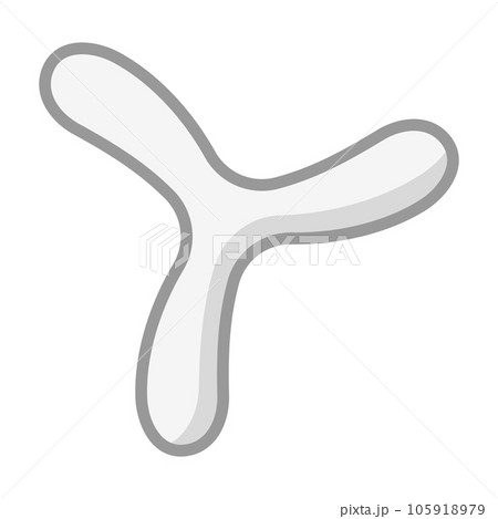 ブーメラン ブーメラン 105918979