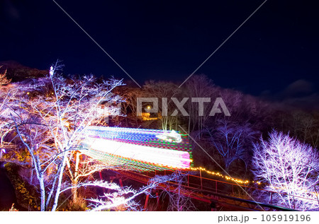 しばたファンタジーイルミネーション(船岡城址公園)【宮城県柴田町】 しばたファンタジーイルミネーション(船岡城址公園)【宮城県柴田町】 105919196