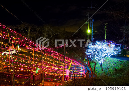 しばたファンタジーイルミネーション(船岡城址公園)【宮城県柴田町】 しばたファンタジーイルミネーション(船岡城址公園)【宮城県柴田町】 105919198