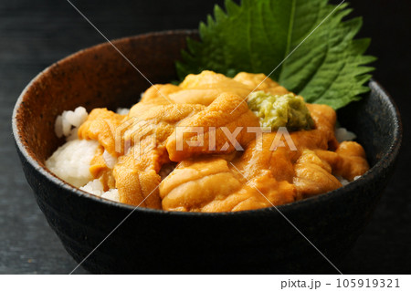 うに丼 うに丼 105919321