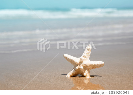 Starfish on tropical beach. Seaside vacation. Starfish on tropical beach. Seaside vacation. 105920042