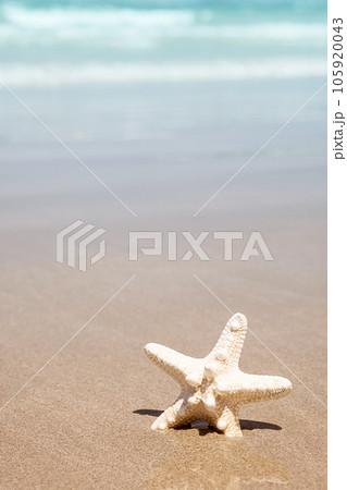 Starfish on tropical beach. Seaside vacation. Starfish on tropical beach. Seaside vacation. 105920043