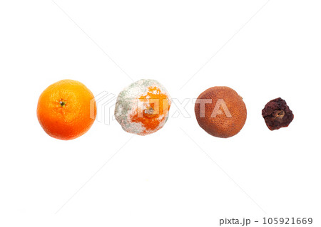 Tangerines set isolated on white background. Ripe orange tangerine Tangerines set isolated on white background. Ripe orange tangerine 105921669
