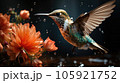 A hummingbird getting food from the flower, Wildlife scene from nature. 105921752