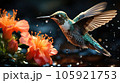 A hummingbird getting food from the flower, Wildlife scene from nature. 105921753
