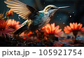 A hummingbird getting food from the flower, Wildlife scene from nature. 105921754
