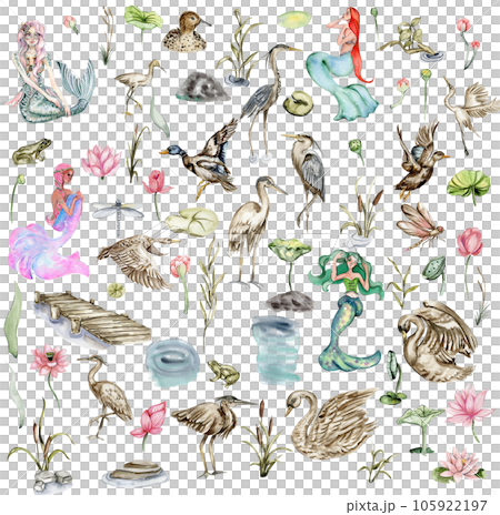Watercolor set or mermaid, duck, swan,pier, heron. Watercolor hand drawn illustration. Perfect for children artworks, wallpapers, posters, greeting cards, prints . 105922197