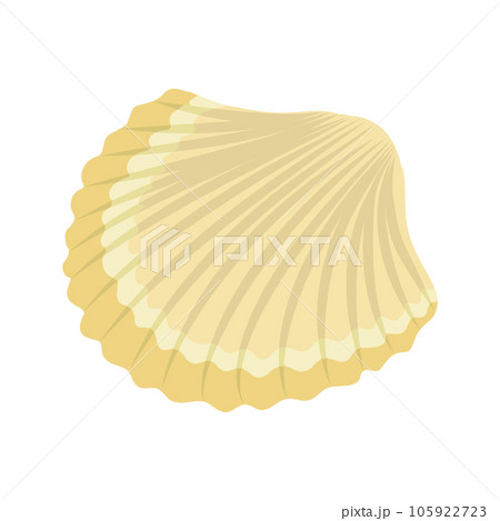 Sea shells and stars collection. Marine vector illustration of ocean shellfish. Sea shells and stars collection. Marine vector illustration of ocean shellfish. 105922723