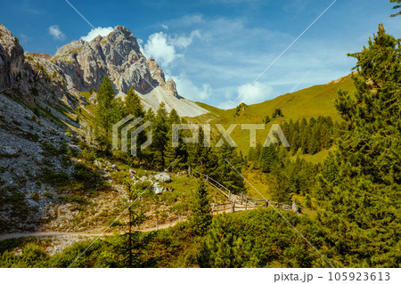 landscape with mountains, clouds, trees and trail 105923613