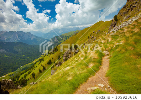 landscape with mountains, hills, clouds, grass and trail landscape with mountains, hills, clouds, grass and trail 105923616
