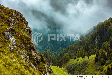 landscape with mountains, hills, rocks, forest and fog 105923624