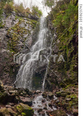 Waterfall in the forest, Burgbach waterfall near Schapbach, Black Forest, Baden-Wurttemberg, Germany 105923741