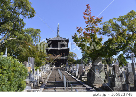 金戒光明寺　三重塔　京都市左京区黒谷 105923749