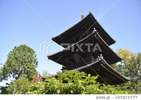 金戒光明寺　三重塔　京都市左京区黒谷 105923777