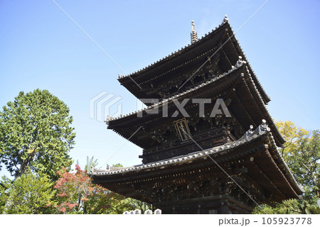 金戒光明寺　三重塔　京都市左京区黒谷 105923778