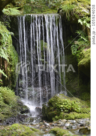 古知谷阿弥陀寺　参道脇の実相の滝　京都市左京区大原 105924038