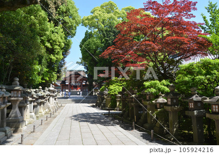 石清水八幡宮　表参道と南総門　京都府八幡市 105924216
