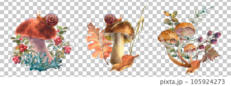 Set of compositios with mushrooms, Forest chanterelle mushrooms, porcini, honey mushroom with Cranberry bushes and autumn leaf. Watercolor hand drawn illustration. Isolated on a white background Set of compositios with mushrooms, Forest chanterelle mushrooms, porcini, honey mushroom with Cranberry bushes and autumn leaf. Watercolor hand drawn illustration. Isolated on a white background 105924273