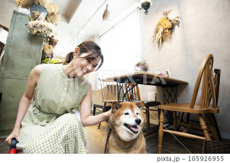 ドックカフェ　若い女性　柴犬 105926955