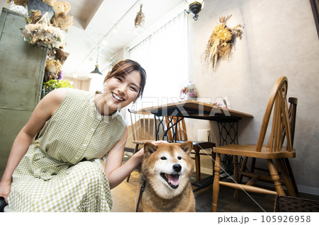 ドックカフェ 若い女性 柴犬 カメラ目線 ドックカフェ 若い女性 柴犬 カメラ目線 105926958