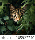 猫アイコン（PFP）茂み 105927740