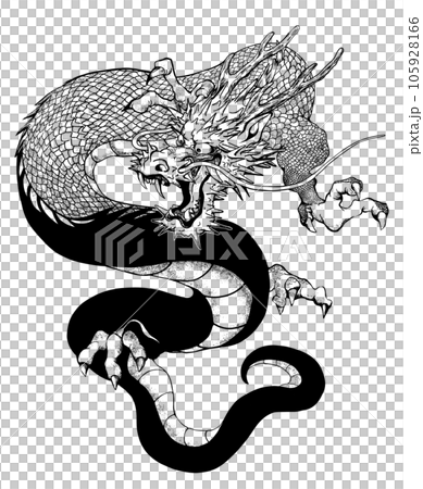 龍の線画 105928166