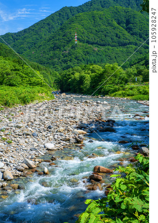 湯檜曽川　真夏の風景　みなかみ町　　 105928247