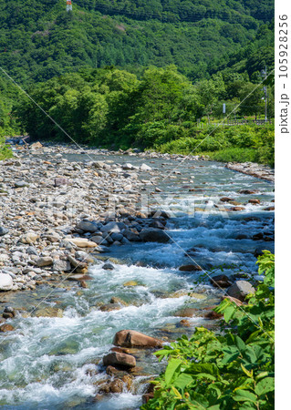湯檜曽川 真夏の風景 みなかみ町 湯檜曽川 真夏の風景 みなかみ町 105928256