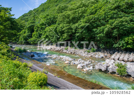 湯檜曽温泉街に流れる湯檜曽川 真夏の風景 みなかみ町 湯檜曽温泉街に流れる湯檜曽川 真夏の風景 みなかみ町 105928562