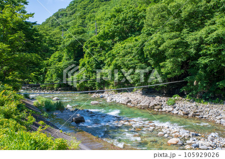 湯檜曽温泉街に流れる湯檜曽川 真夏の風景 みなかみ町 湯檜曽温泉街に流れる湯檜曽川 真夏の風景 みなかみ町 105929026
