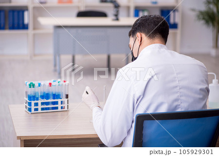 Young male chemist working at the lab 105929301