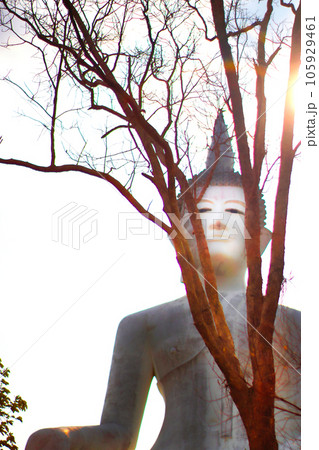 Thailand is home to many Buddha images. The largest Buddha statue in Thailand is the Mahanawamindra Shakyamuni Sri Wiset Chaichan Buddha image. which is located at Wat Muang Ang Thong Province Thailand is home to many Buddha images. The largest Buddha statue in Thailand is the Mahanawamindra Shakyamuni Sri Wiset Chaichan Buddha image. which is located at Wat Muang Ang Thong Province 105929461