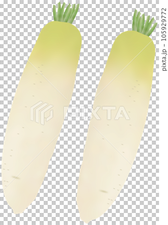 兩個蘿蔔垂直 105929772