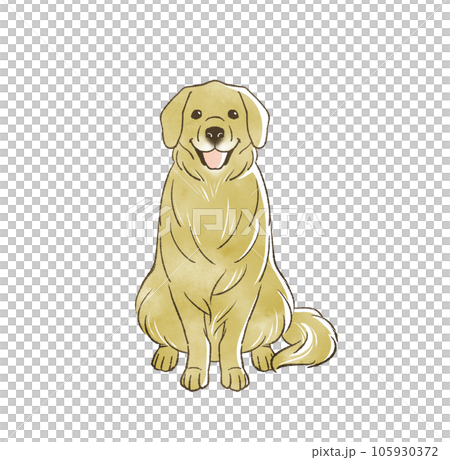 坐著的金毛獵犬 105930372