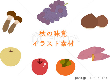 秋の食材素材集 105930473