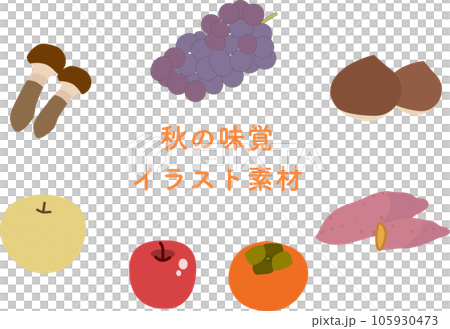 秋の食材素材集 105930473