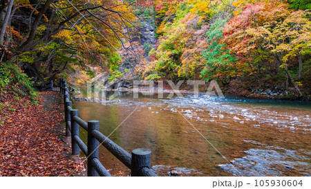 湯瀬渓谷（秋） 105930604