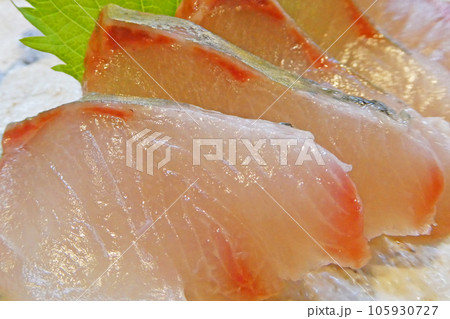 脂と甘み、ブリより美味しい、シマアジの刺身のUPの写真 105930727