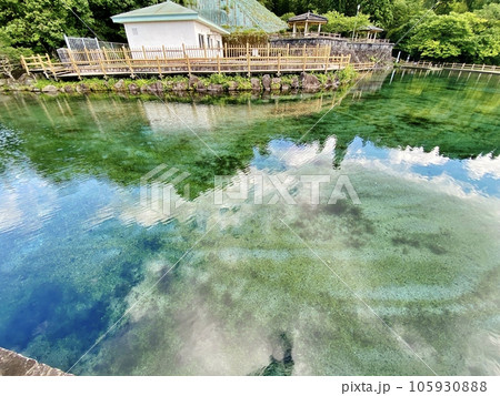 霧島山麓　丸池湧水 105930888