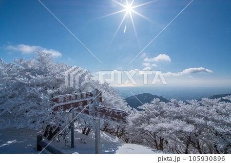 冬晴れの御在所岳山上【輝く樹氷】 105930896