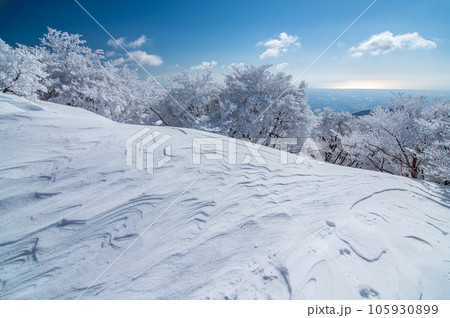 冬の御在所岳山上【樹氷と風雪紋】 冬の御在所岳山上【樹氷と風雪紋】 105930899