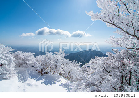 ウインターリゾート御在所岳・三重県・菰野町【冬の芸術品・樹氷】 ウインターリゾート御在所岳・三重県・菰野町【冬の芸術品・樹氷】 105930911