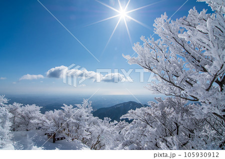 冬晴れの御在所岳山上【輝く樹氷】 105930912