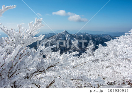 【雪山絶景】御在所岳の樹氷と鎌ヶ岳 【雪山絶景】御在所岳の樹氷と鎌ヶ岳 105930915