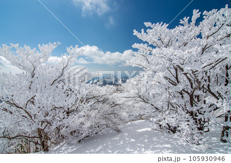 【雪山絶景】御在所岳の樹氷と鎌ヶ岳 105930946