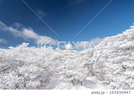 冬の御在所岳山上公園【樹氷と雨量レーダー】 冬の御在所岳山上公園【樹氷と雨量レーダー】 105930947