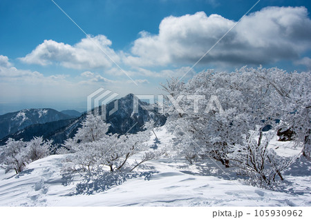 【雪山絶景】御在所岳の樹氷と鎌ヶ岳 【雪山絶景】御在所岳の樹氷と鎌ヶ岳 105930962